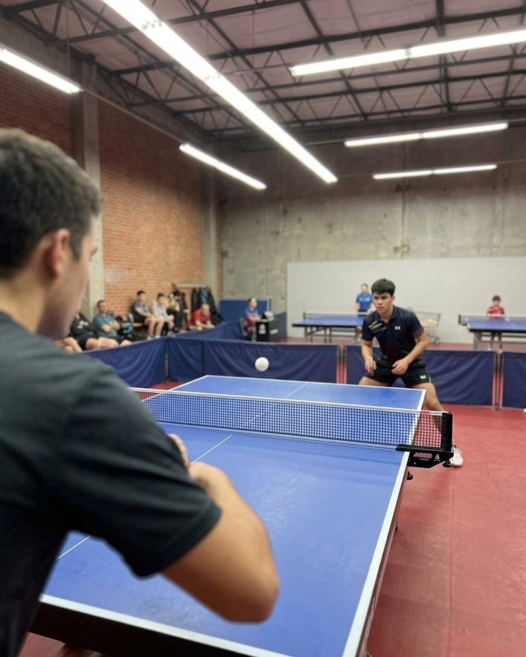 Uno scambio di tennistavolo in palestra — creazione di siti web per club di tennistavolo