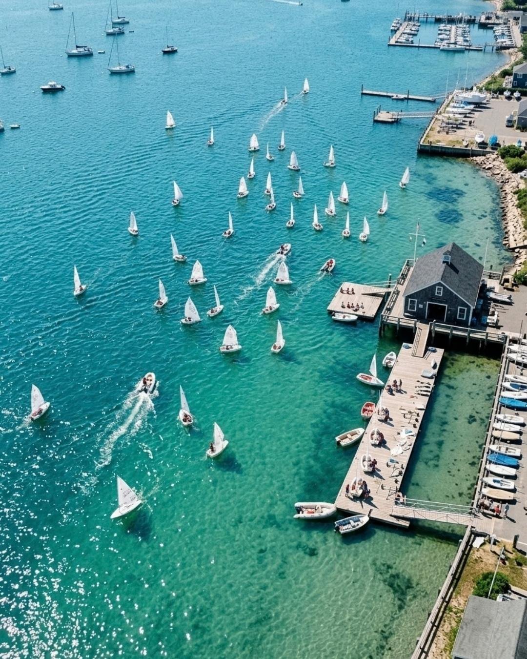 Eine Flotte Segelboote, die vor dem Club ankert — Website-Erstellung für Segelschulen