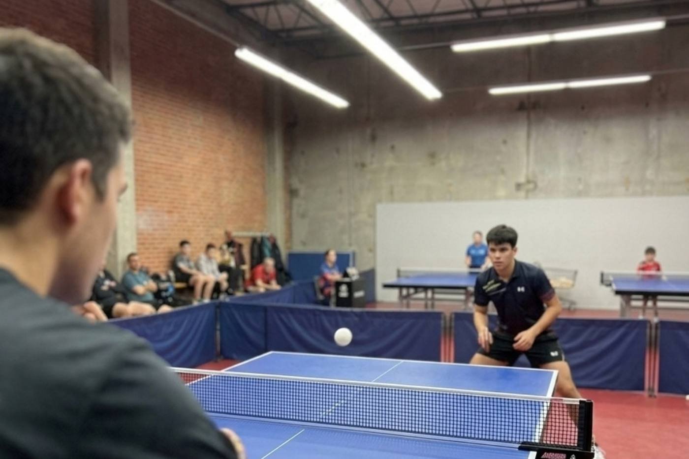Uno scambio di tennistavolo in palestra — creazione di siti web per club di tennistavolo